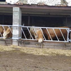  Výroba a montáž krmných zábran pro výkrm býků (aktualizováno)